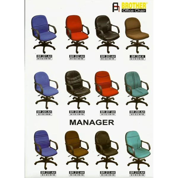 Brother Office Chair For Manager BR 201 AH