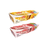 WONG COCO PUDDING 120 G PER PACK