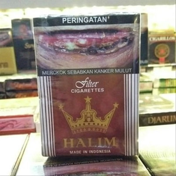 Jual ROKOK GUDANG GARAM FILTER HALIM COKLAT 20 x 10 BUNGKUS PER SLOP