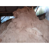 Coconut fiber per 1 kg